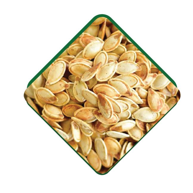 Pumpkin Seed